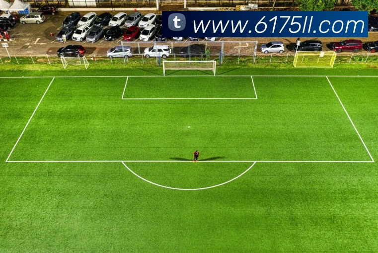 w66国际利来平台生态图